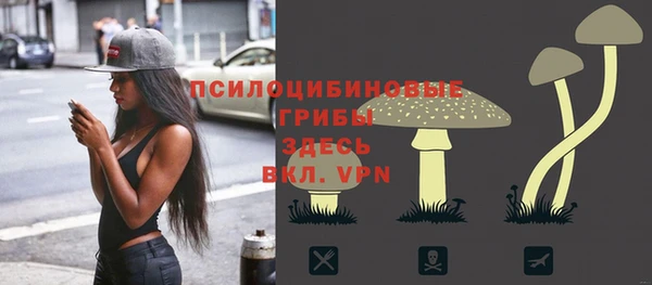 MDMA Premium VHQ Краснослободск
