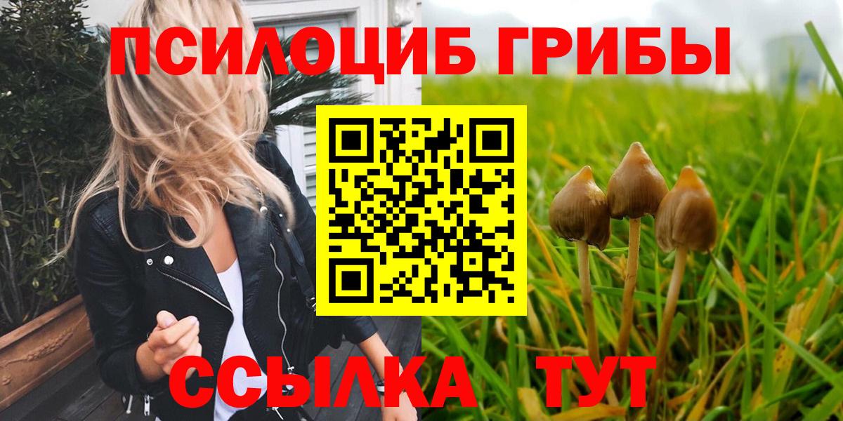 Галлюциногенные грибы Psilocybine cubensis Оренбург