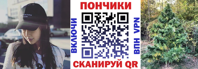 купить наркотики цена  Оренбург  Конопля ГИДРОПОН 